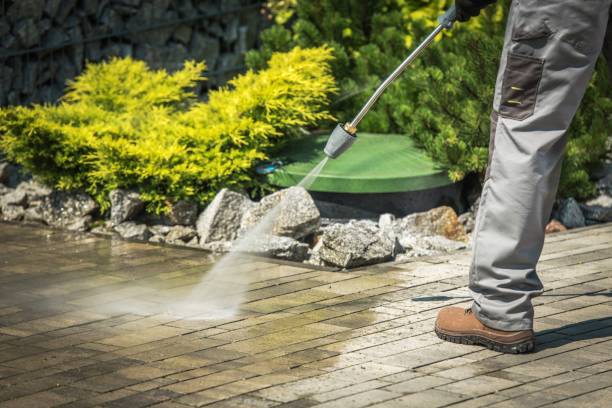 Best Roof Washing  in Holliday, TX