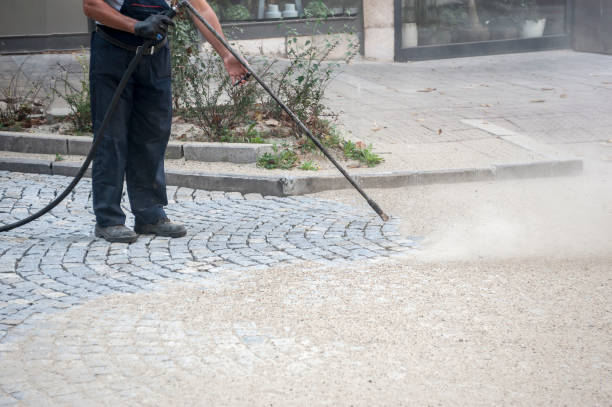 Best Driveway Pressure Washing  in Holliday, TX